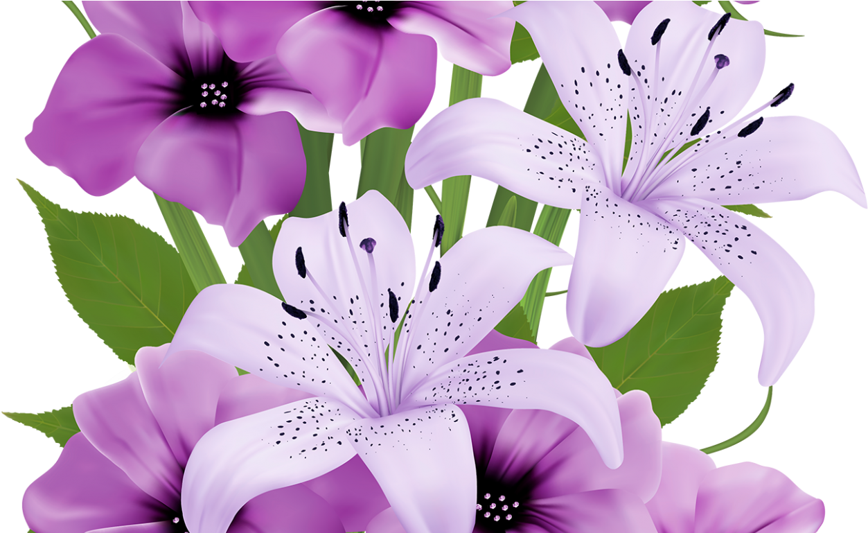 Beautiful Flower Hd Png (1366x768), Png Download