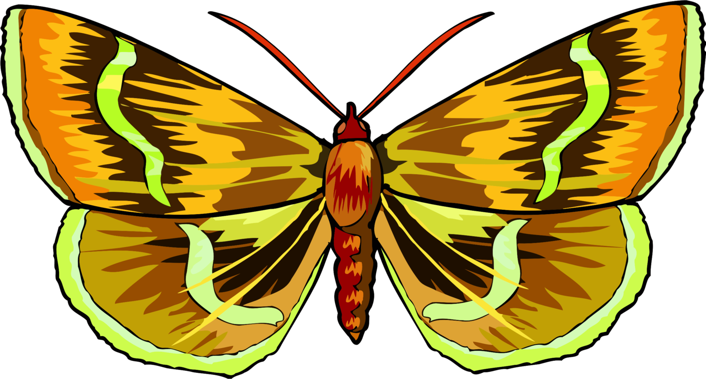 Monarch Butterfly Moth App Store Brush-footed Butterflies - Clip Art (1395x750), Png Download