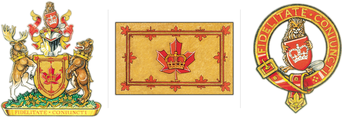 The Full Coat Of Arms - Art (1170x400), Png Download