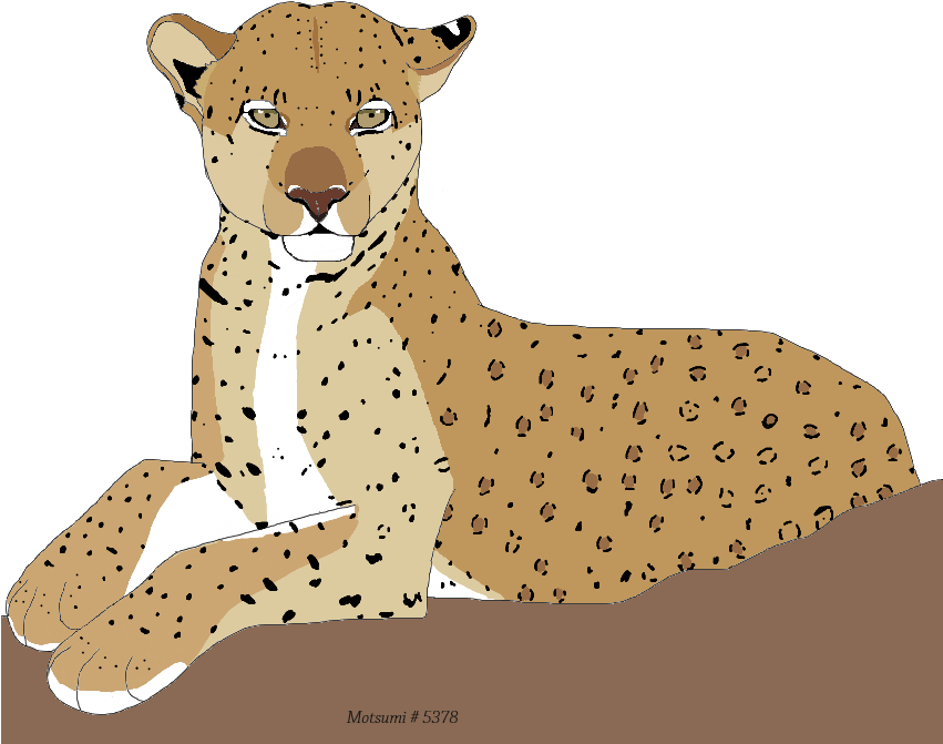 Big Cat Wsp6fj1 - Lion (850x700), Png Download