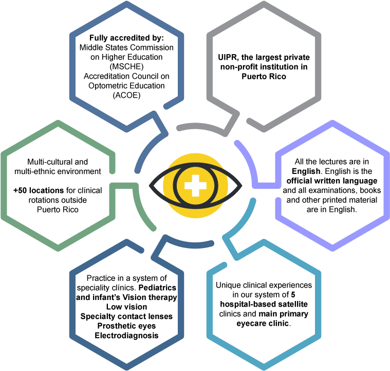 The School Of Optometry At Inter American University - Diagram (801x763), Png Download