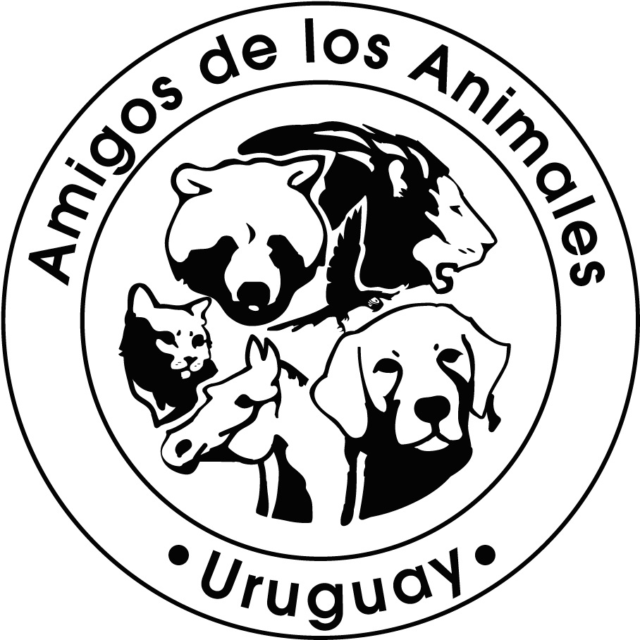 Amigos De Los Animales - Wharf House Restaurant (948x946), Png Download