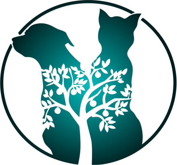 Dogwood Icon Trans - Illustration (587x549), Png Download