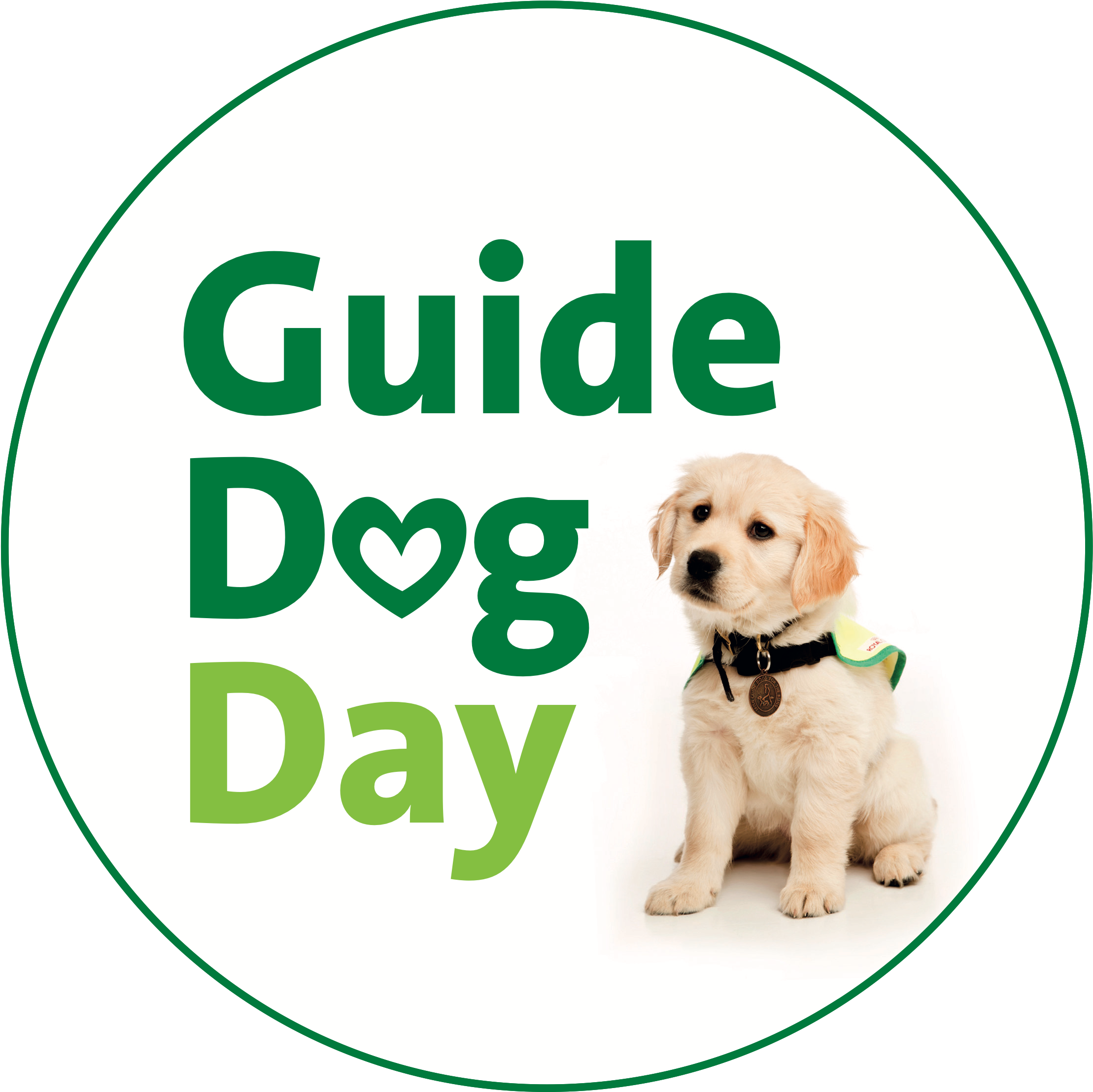 Share This Story - Guide Dog (3508x2480), Png Download
