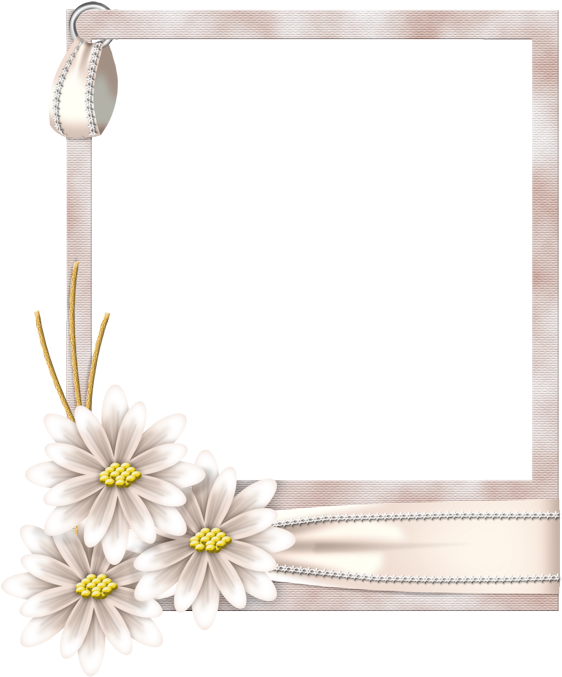 Picture Frame (613x788), Png Download