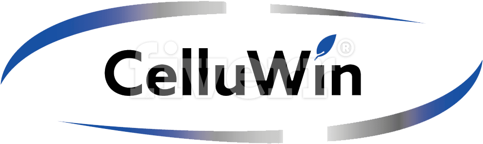 Big Worksample Image - Graphic Design (1000x310), Png Download