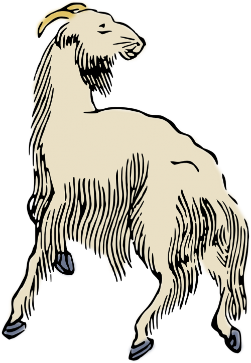 Japanese Goat Art Queen Duvet Clipart , Png Download - Ram Ewe Pixabay (500x724), Png Download