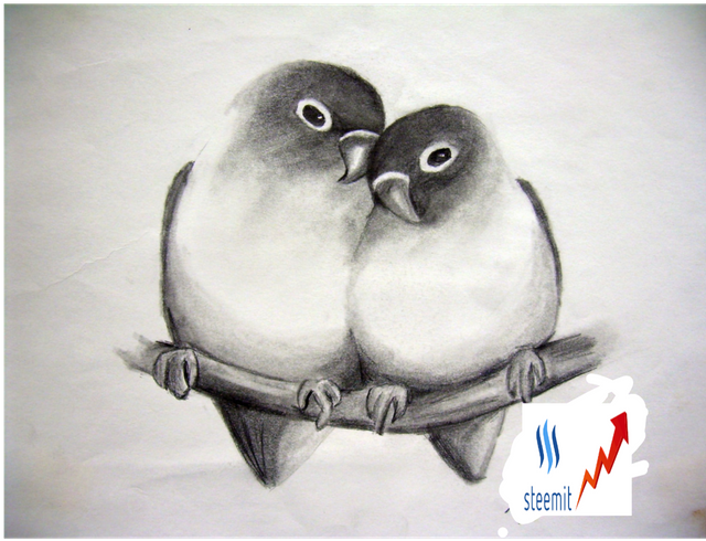Image of A creative beautiful art design birds-CI913396-Picxy