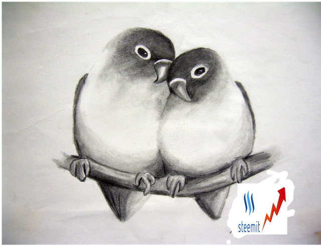 Beautiful Pencil Drawings Birds Png Beautiful Pencil - Sketches Of Love Birds (640x640), Png Download