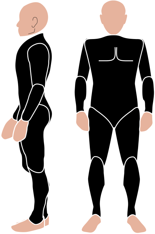 Medium Image Png - Illustration (543x800), Png Download