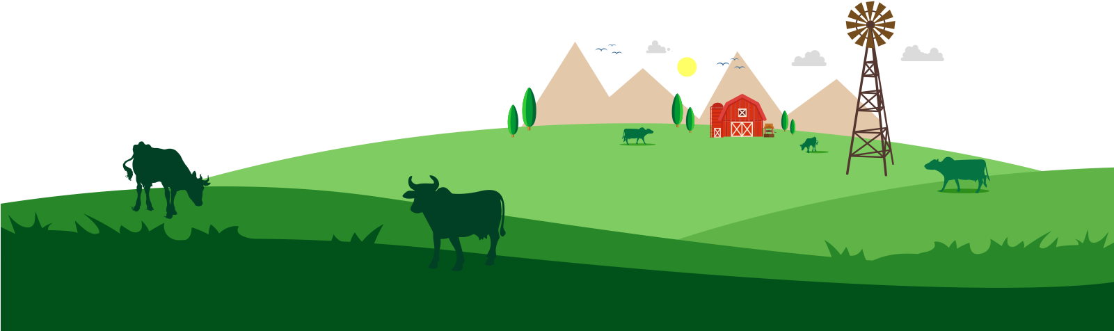Cow Milk - Cattle (1600x500), Png Download