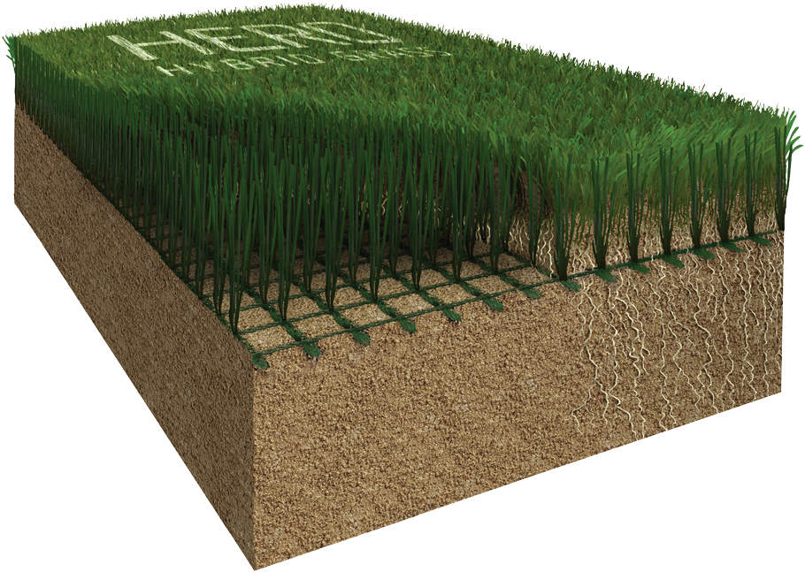 A Revolution In New Hybrid Grass Technology - Hedge (1000x750), Png Download