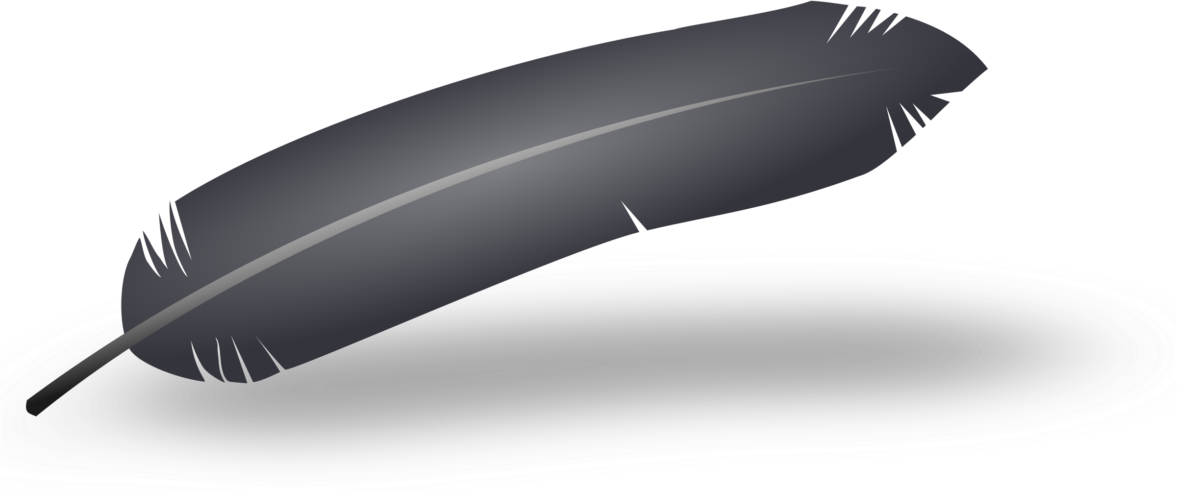 Clipart - Black Feather - Black Feather (2400x1036), Png Download