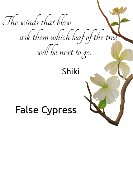 Soseki Haiku - Natsume Sōseki (427x554), Png Download