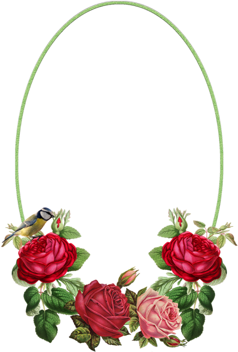 Marcos De Rosas Rojas Png - Best Gift - Rose Canvas Hoodie/t-shirt/mug Black/navy/pink/white (480x720), Png Download