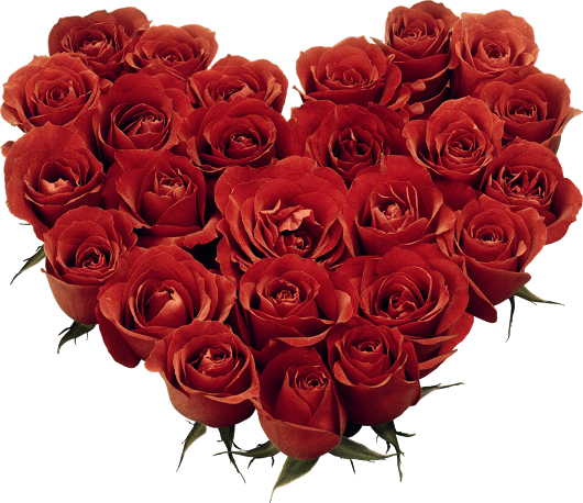 3 - Bp - Blogspot - Com/ Kq2qgkzkscq/upmfrved8 I/aaaaaaabham - Red Rose Image Download (530x458), Png Download