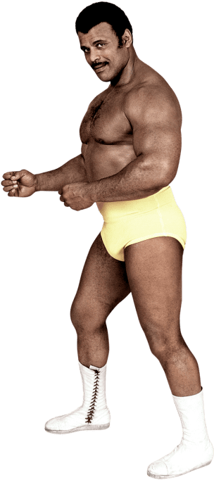 Rocky Johnson - Rocky Johnson Now (320x728), Png Download