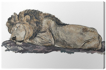 Lion Sleeping Illustration (400x400), Png Download