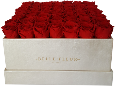 El Contexto Es Todo - Belle Fleur Ecuador (480x369), Png Download