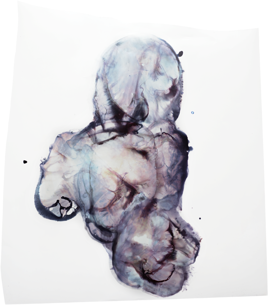 Bloodprint 56 2016 14x19-copy - Portable Network Graphics (1000x1250), Png Download