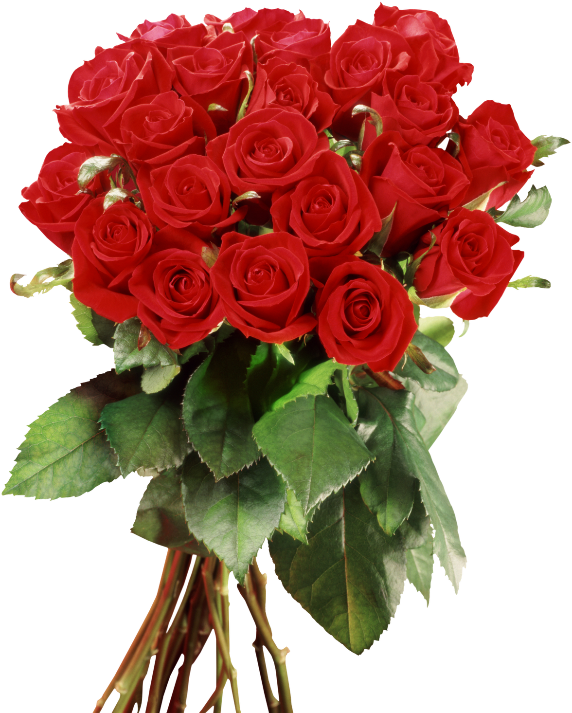 Descargar Imagenes De Flores Rojas - Frame Wedding (1250x1600), Png Download
