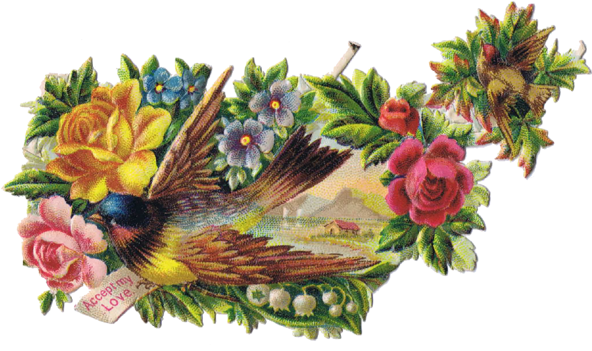 Vintage Bird Clipart - Vintage Birds Graphics (1215x716), Png Download