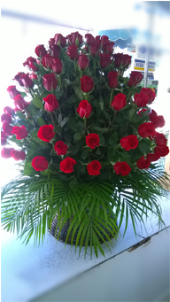 A-01 100 Rosas Rojas En Base Grande - Garden Roses (574x340), Png Download