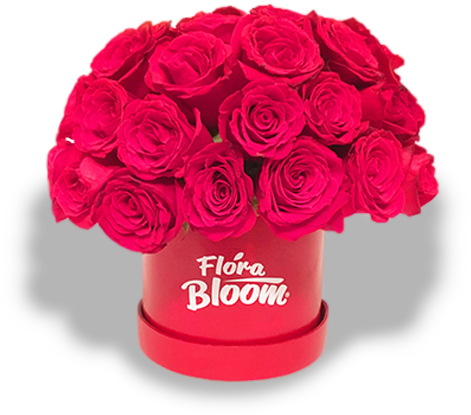 Caja 50 Rosas Rojas - Garden Roses (480x640), Png Download