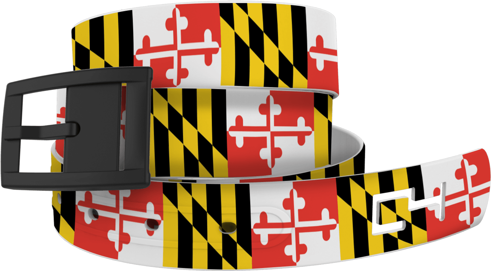 Maryland Classic - Valor In A Border State: Confederate Soldiers (480x480), Png Download