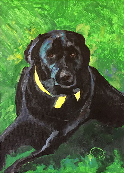 Beau - Labrador Retriever (575x575), Png Download