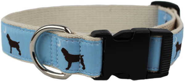 Boykin Spaniel Collar - Boykin Spaniel (600x600), Png Download