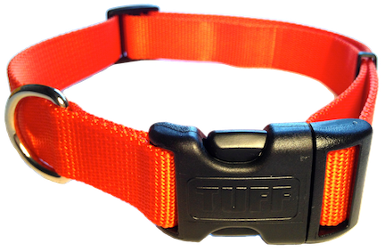 Nylon Dog Collar Plastic Clip - Plastic Clip Dog Collar (432x283), Png Download