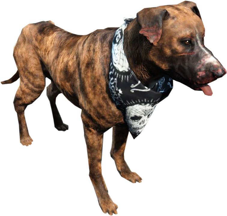 Fo4 Dog Fallout 4 Raider Dog Free Transparent PNG Download PNGkey