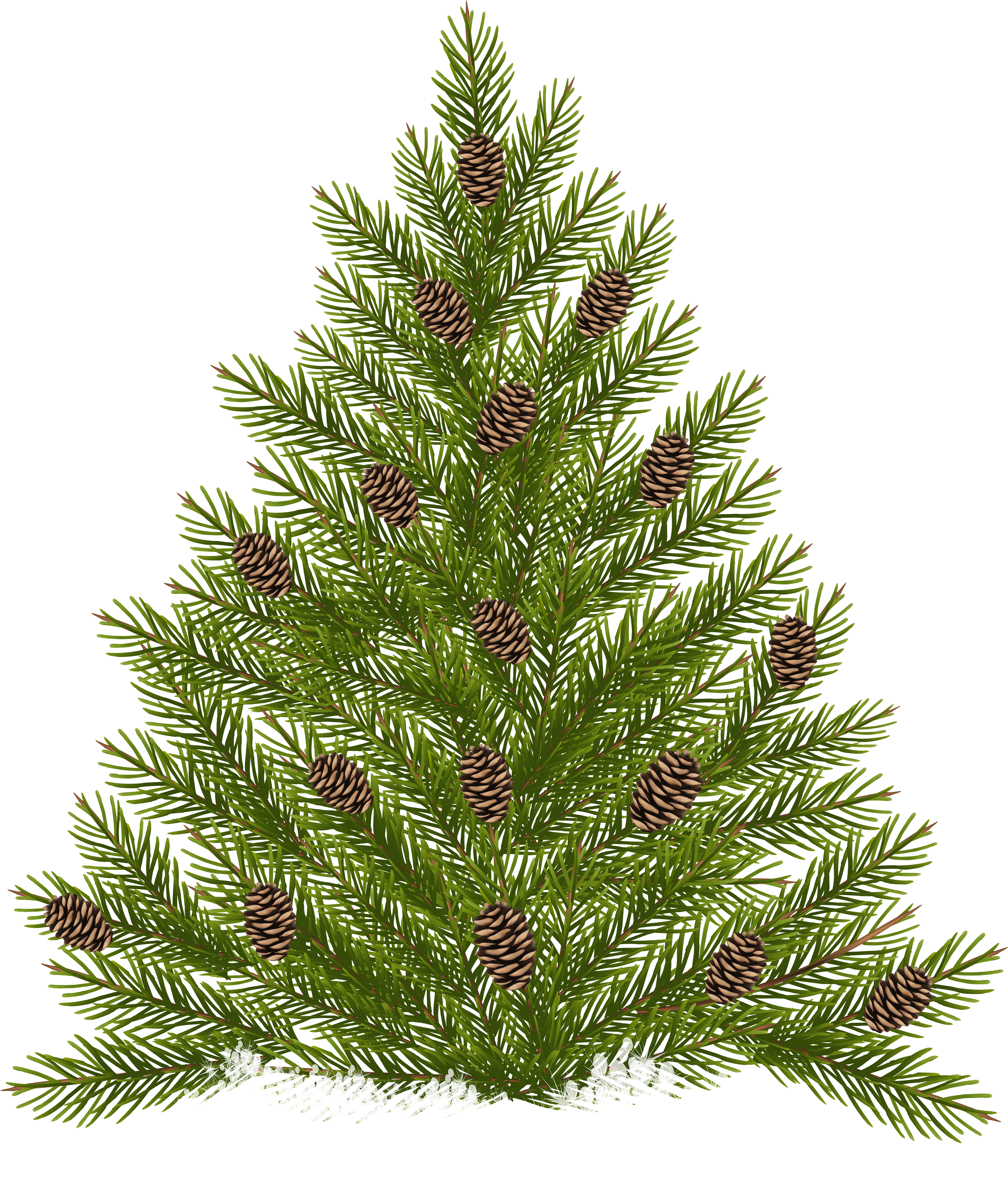 Pine Tree Transparent Png (3414x4000), Png Download