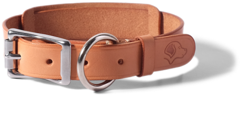 Dog Collar - Natural - Dog Collar (600x600), Png Download