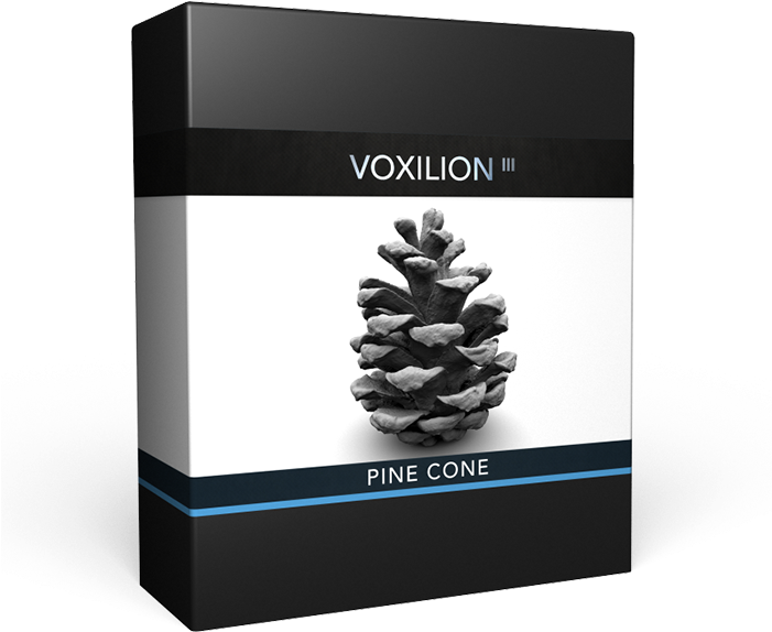 Pine Cone - 3d Printing (700x700), Png Download