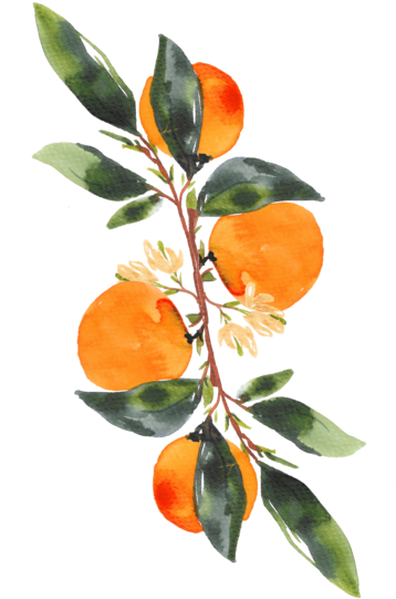 About - Watercolor Painting (400x642), Png Download