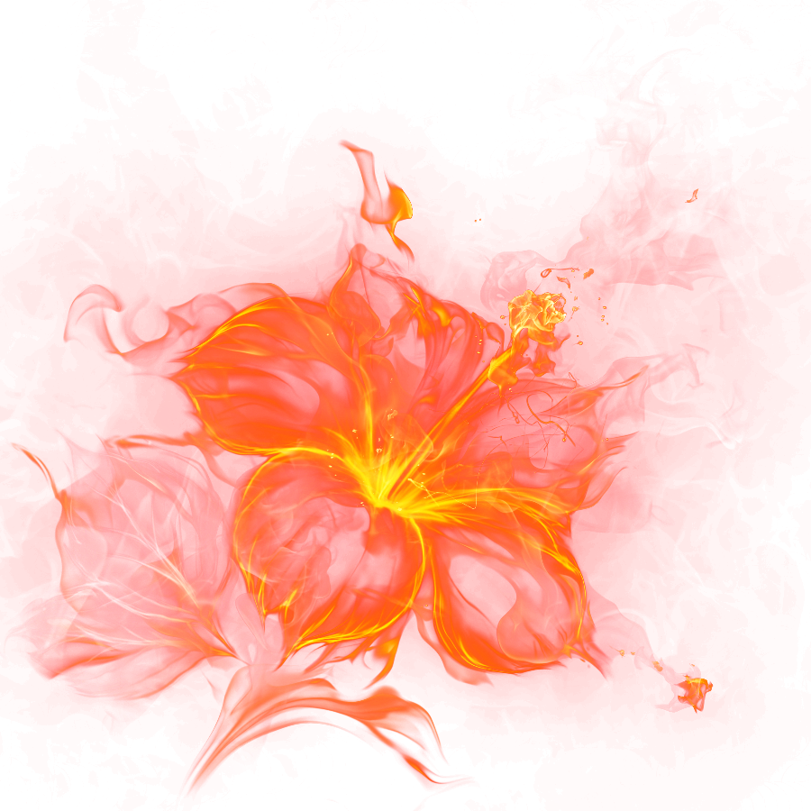 Fire Flowers - Half-blood (the First Covenant Novel) (900x900), Png Download