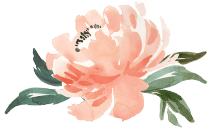 A Sneak Peek Into Our Lives - Protea (458x300), Png Download