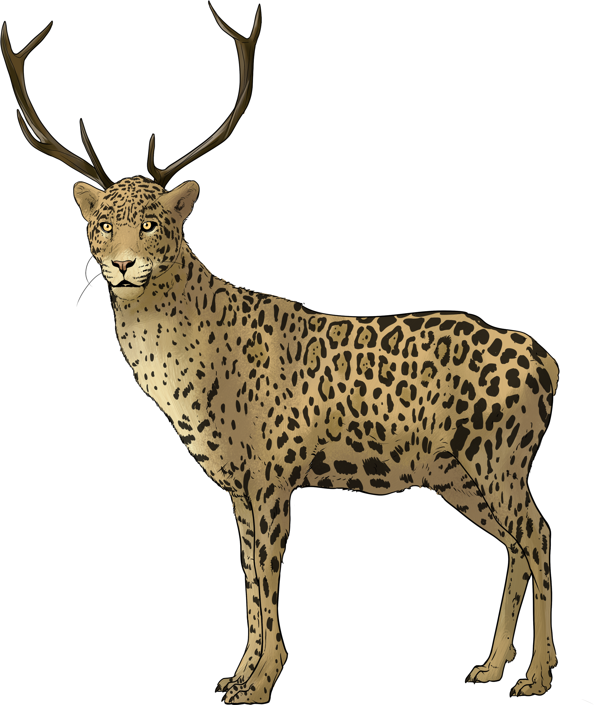 Illustration-transparent - Reindeer (2585x2493), Png Download