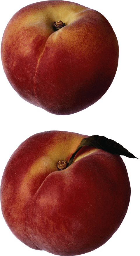 Free Png Peaches Png Images Transparent - Custom 11" Qualatex Standard Multi-color Print Balloons (480x879), Png Download