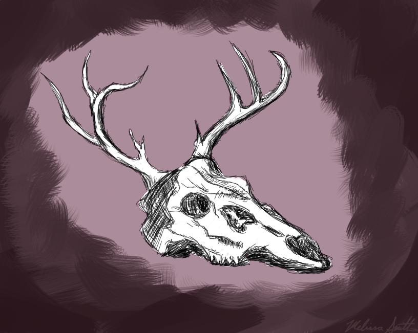 2013 - - Illustration (816x651), Png Download