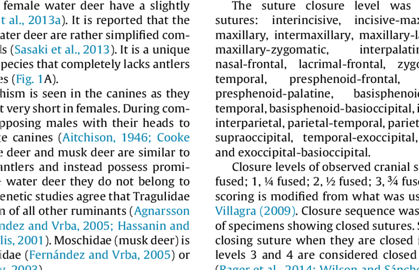 Upper - Document (850x582), Png Download