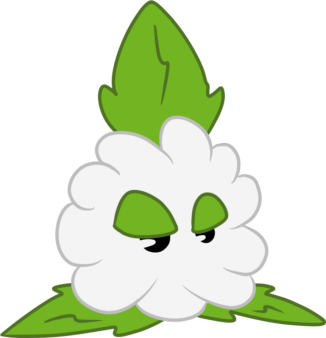 Gopu Cotton - Cotton (1600x1200), Png Download