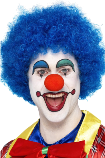 Clown Wig Png Wwwimgkidcom The Image Kid Has It - Clowns With Blue Wigs (366x580), Png Download