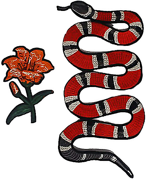 Gucci Flowers Png - Long Snake Iron On Patch (468x574), Png Download