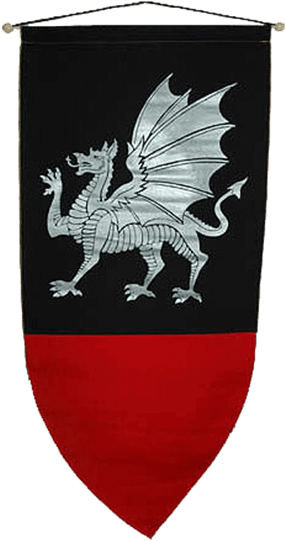 Medieval Banner Png - Medieval Dragon Banner (555x555), Png Download