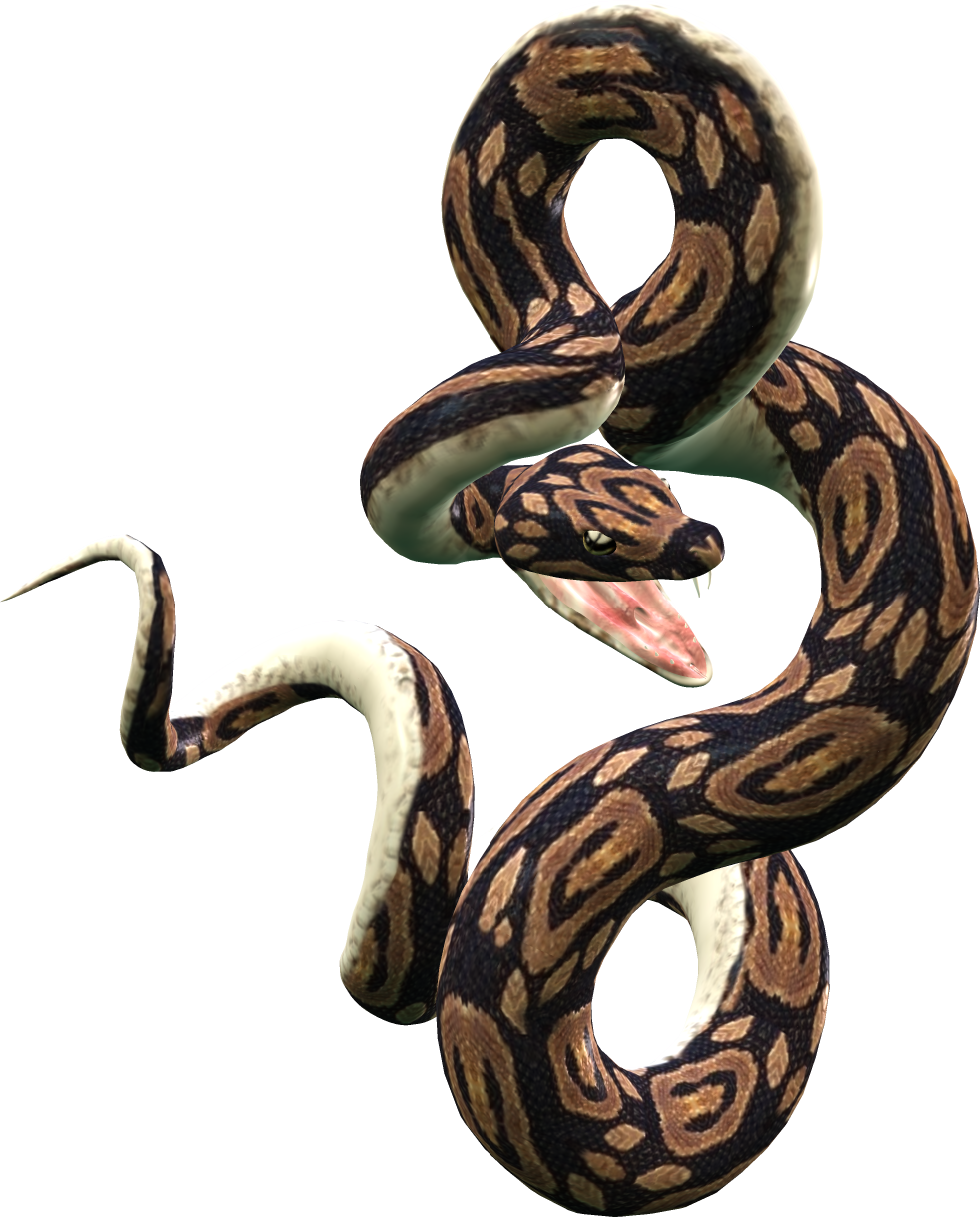 Pin Briana Floor On Art Reference Images Pinterest - Snake Png (981x1218), Png Download