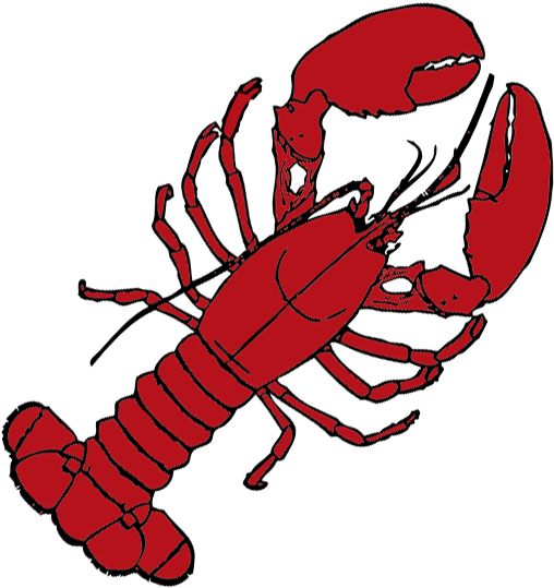 Mjek Seafood Grill Menu - Lobster Drawing Transparent (800x600), Png Download