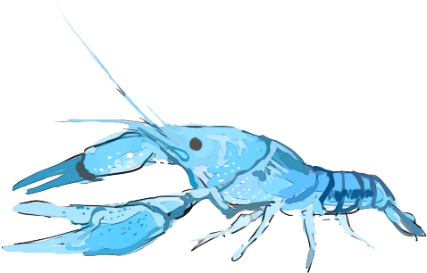 I Had A Pet Lobster - Tattoo (500x500), Png Download